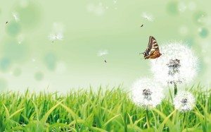 Myšlenky o radikální proměně